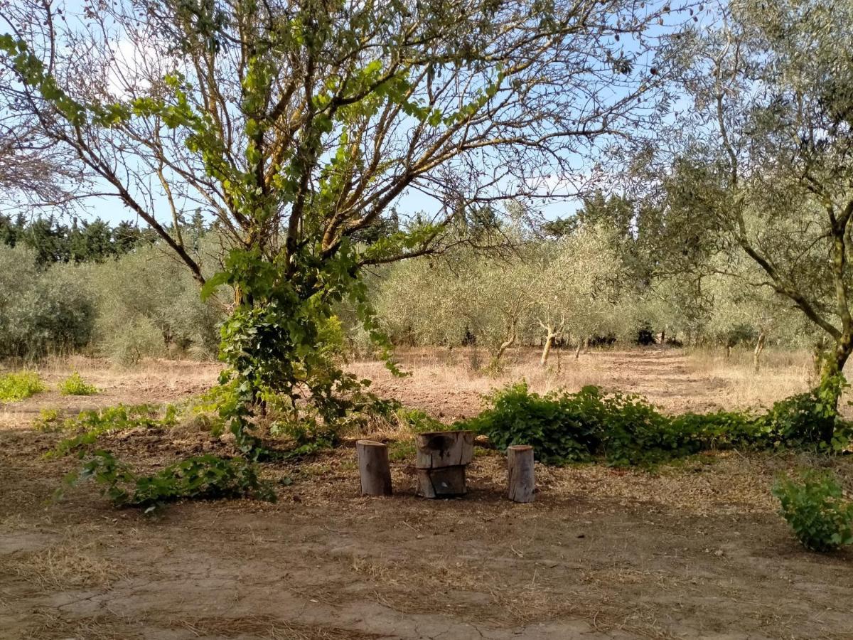 Casa Margherita Càbras Εξωτερικό φωτογραφία