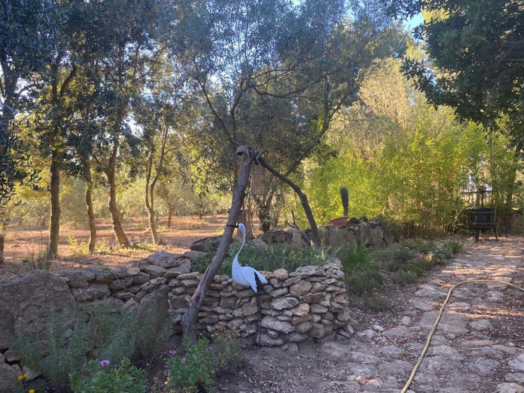 Casa Margherita Càbras Εξωτερικό φωτογραφία